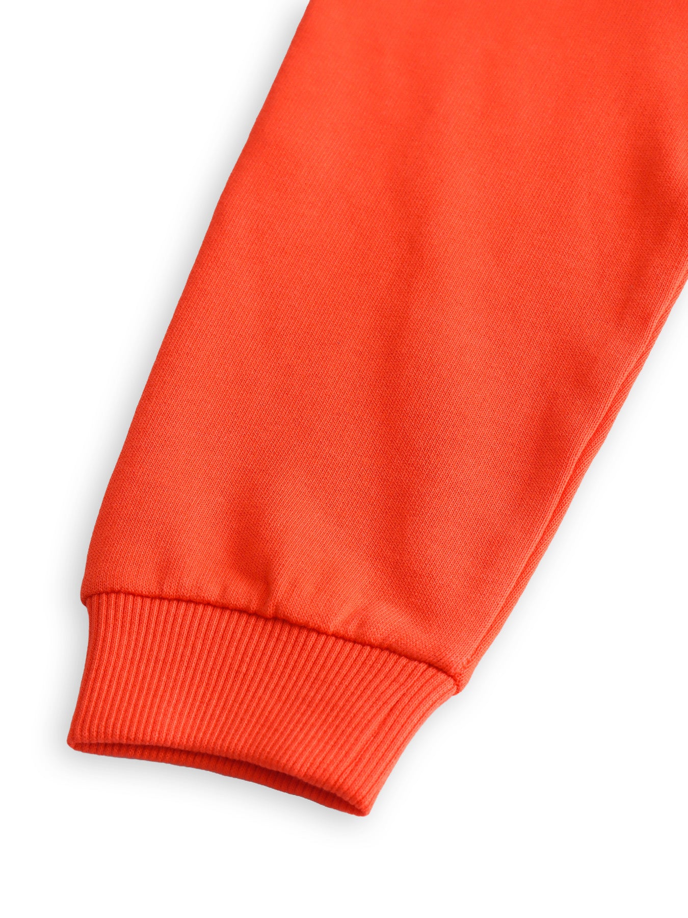 Lion Boys Sweatshirt