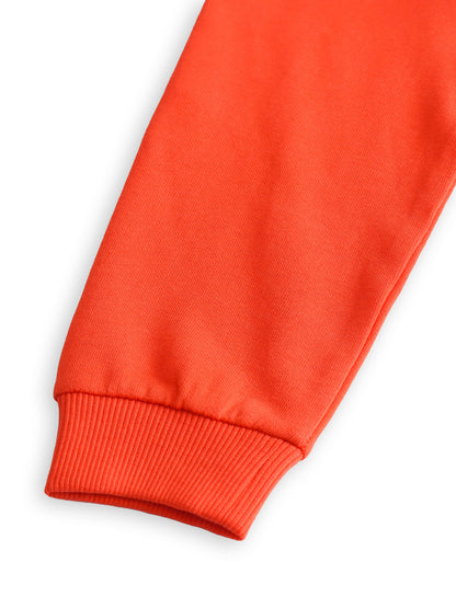 Lion Boys Sweatshirt