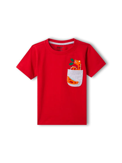 Dino Pocket  Boys Shorts Set