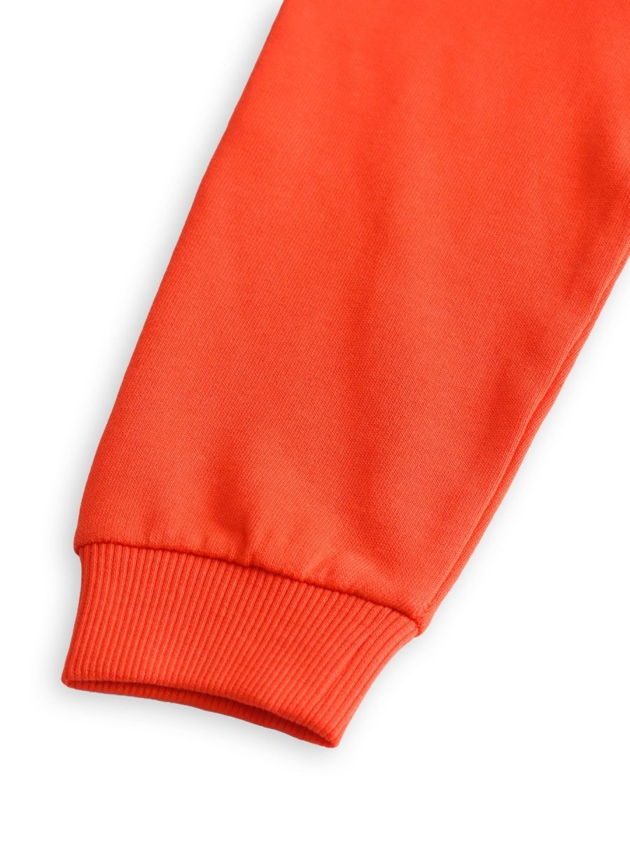 Lion Boys Sweatshirt - Huggler