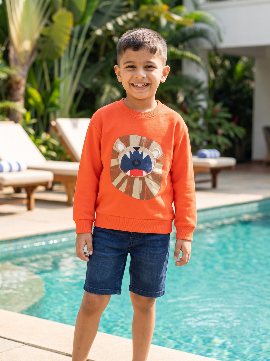 Lion Boys Sweatshirt - Huggler