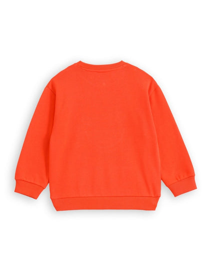 Lion Boys Sweatshirt - Huggler
