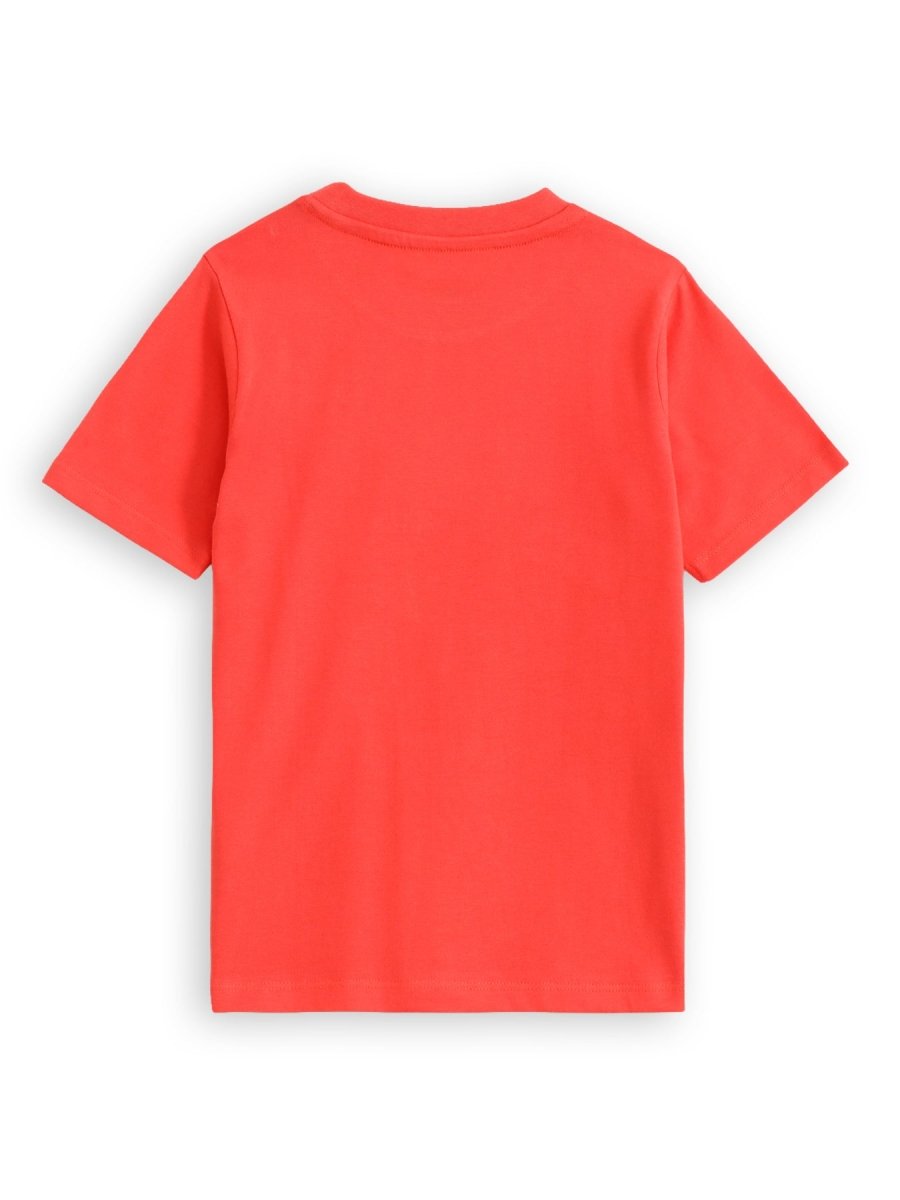 Vacay Bear Boys T Shirt - Huggler